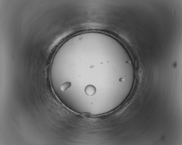 X0000116851309201001051458