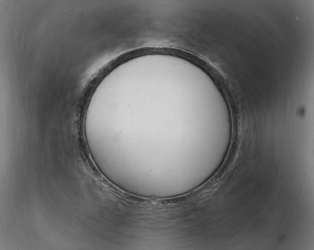 X0000116851311201001051458