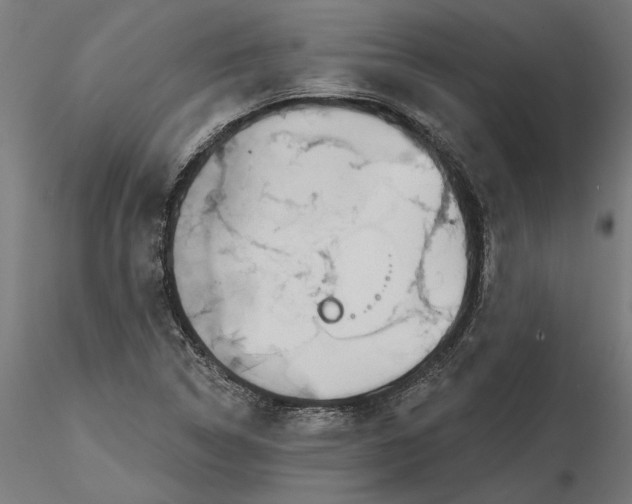 X0000116851314201001051458