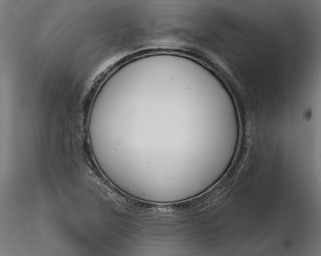 X0000116851315201001051458