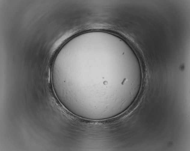 X0000116851317201001051458