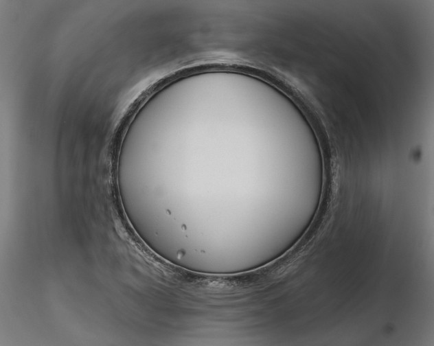 X0000116851318201001051458