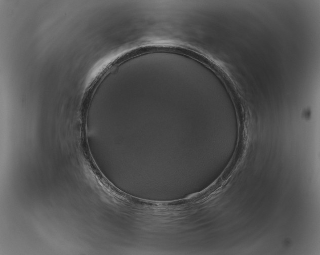 X0000116851319201001051458