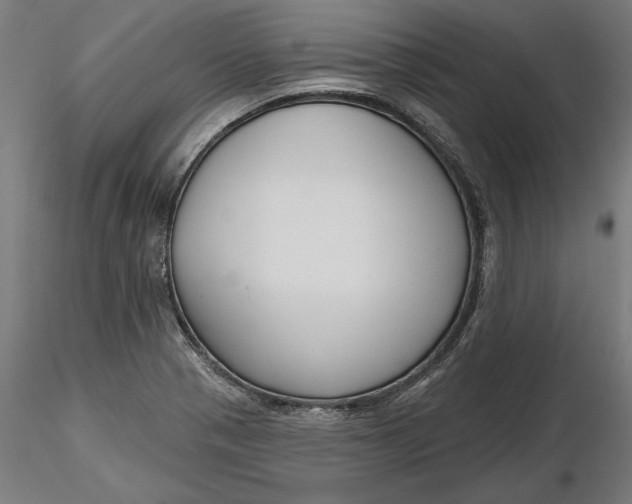 X0000116851321201001051458