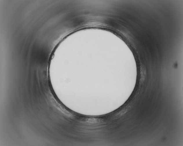 X0000116851322201001051458