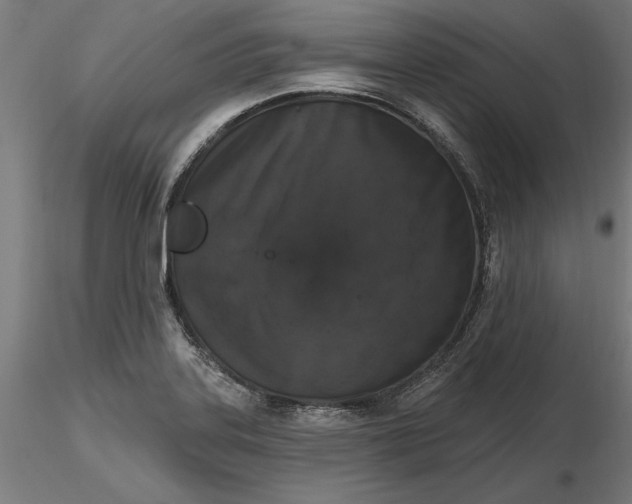 X0000116851323201001051458