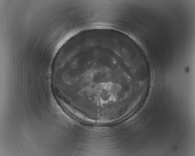 X0000116851325201001051458