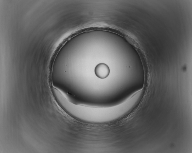 X0000116851326201001051458