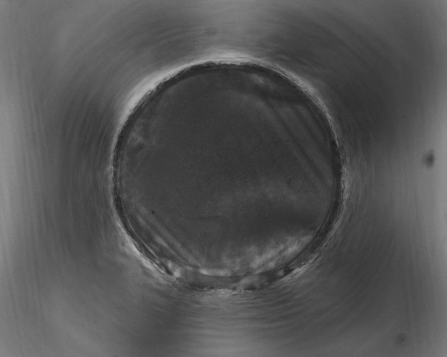 X0000116851327201001051458