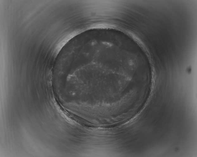 X0000116851329201001051458