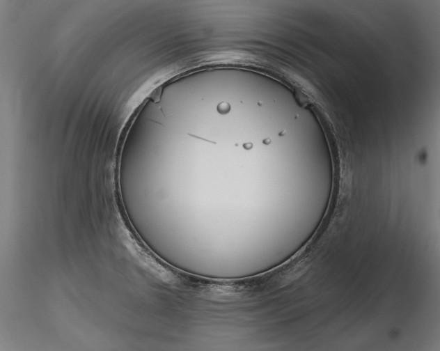 X0000116851330201001051458