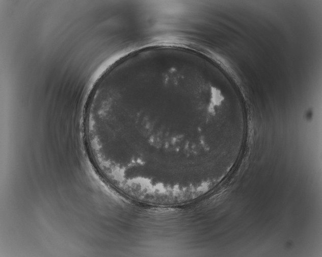 X0000116851331201001051458