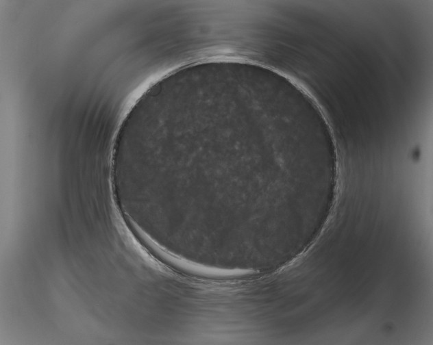 X0000116851333201001051458