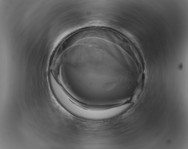 X0000116851334201001051458