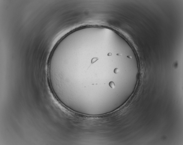 X0000116851335201001051458