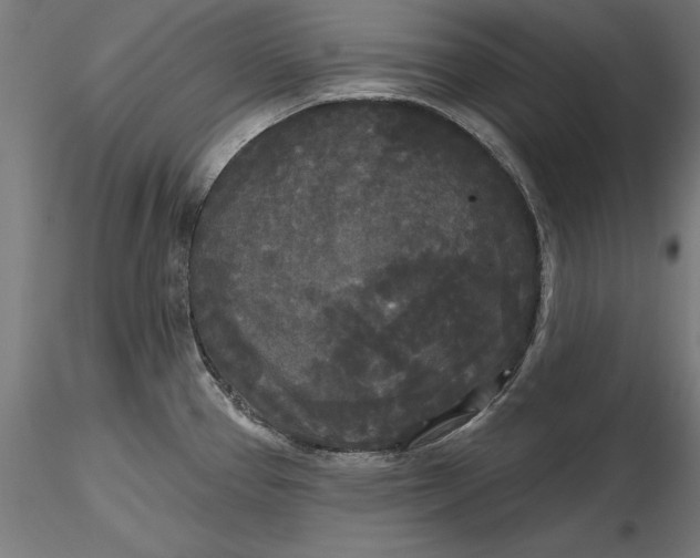 X0000116851337201001051458