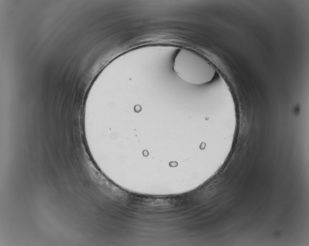 X0000116851338201001051458