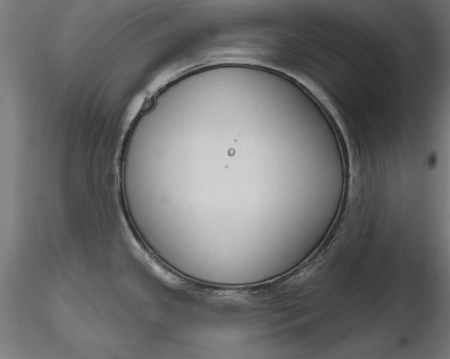 X0000116851341201001051458