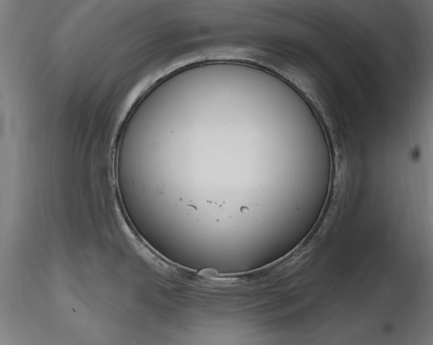 X0000116851342201001051458
