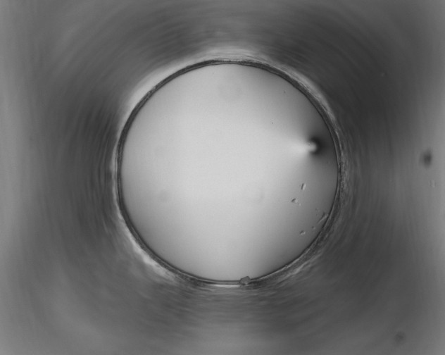 X0000116851343201001051458
