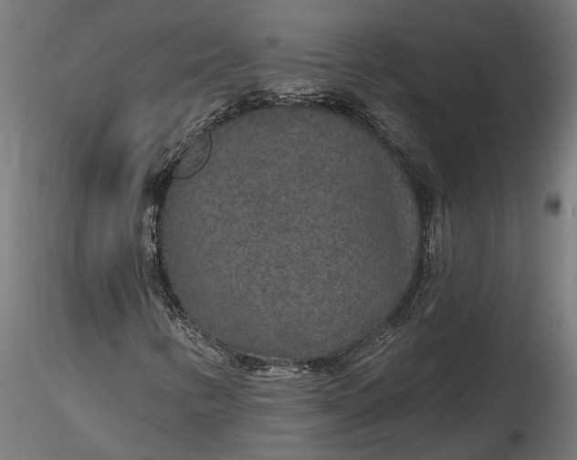 X0000116851346201001051457