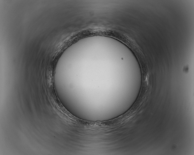 X0000116851348201001051457