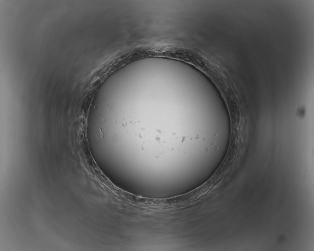 X0000116851349201001051457