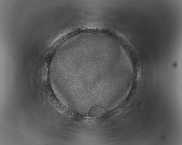 X0000116851350201001051457