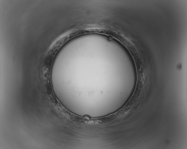 X0000116851351201001051457
