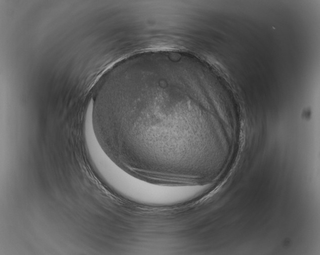 X0000116851353201001051457