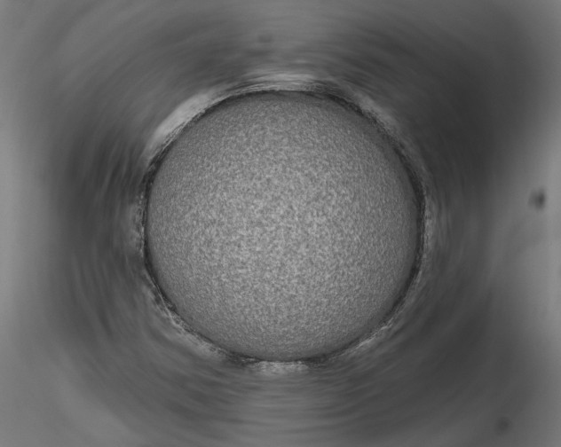 X0000116851354201001051457