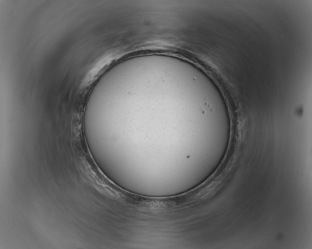 X0000116851355201001051457