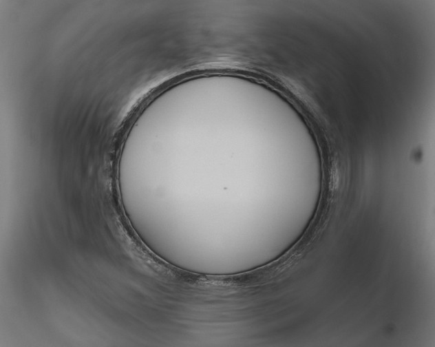 X0000116851356201001051457