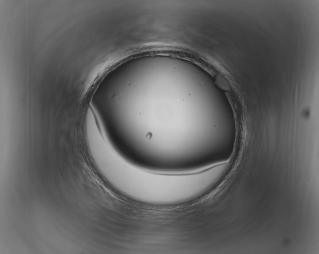 X0000116851357201001051457