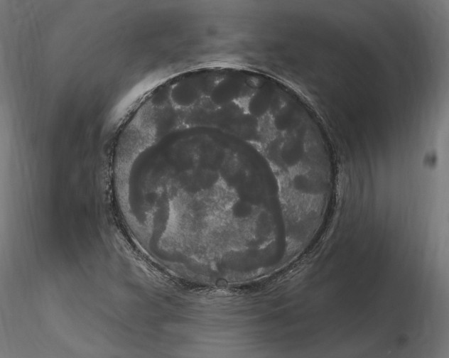 X0000116851359201001051457