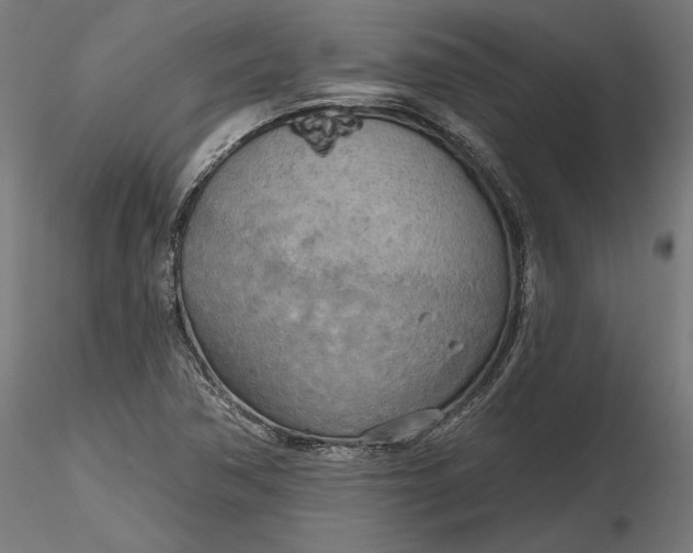 X0000116851362201001051457