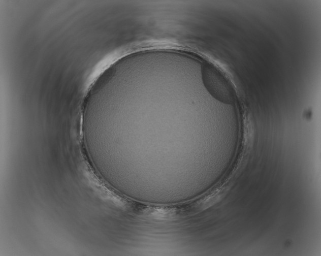 X0000116851365201001051457