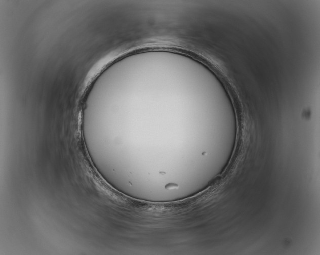 X0000116851366201001051457