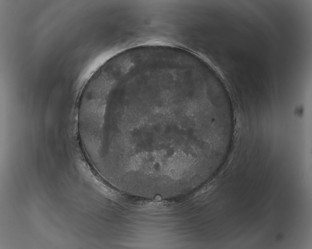 X0000116851367201001051457