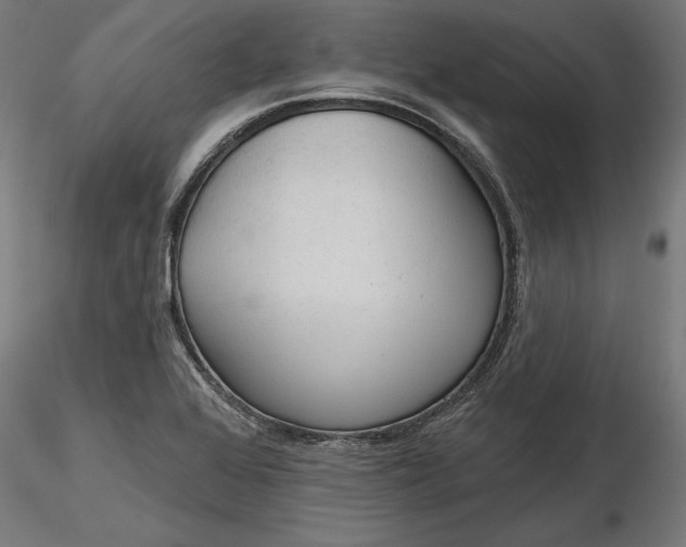 X0000116851368201001051457