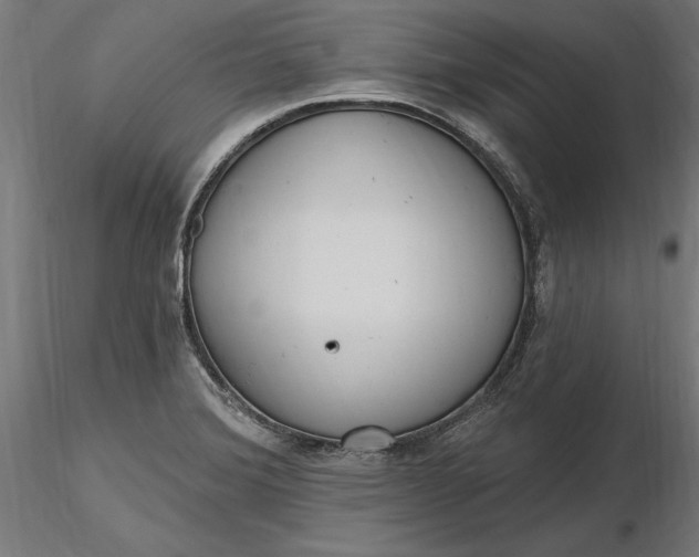 X0000116851372201001051457