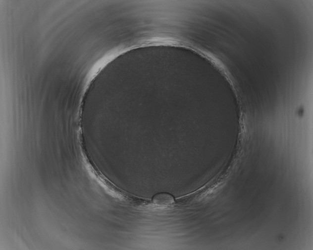 X0000116851373201001051457