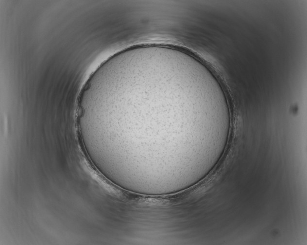 X0000116851374201001051457