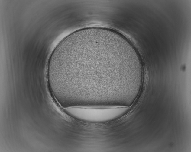 X0000116851375201001051457