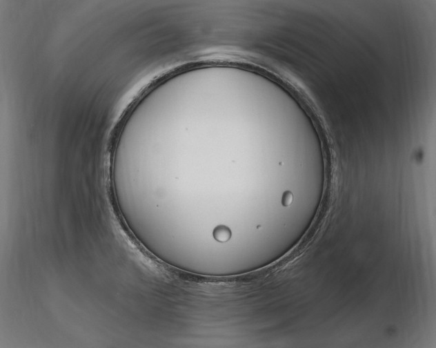 X0000116851376201001051457