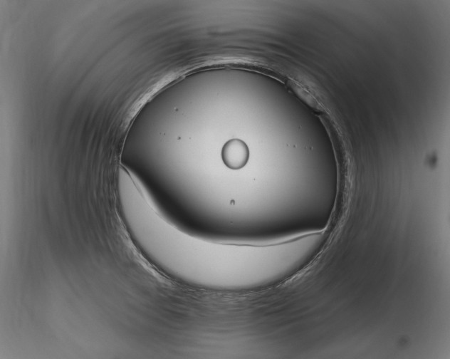 X0000116851377201001051457