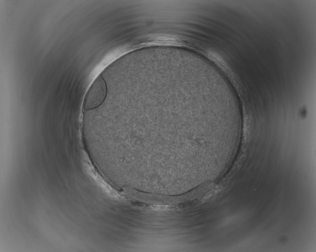 X0000116851378201001051457