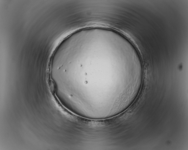 X0000116851379201001051457