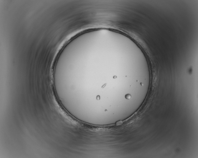 X0000116851380201001051457