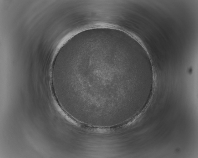 X0000116851381201001051457